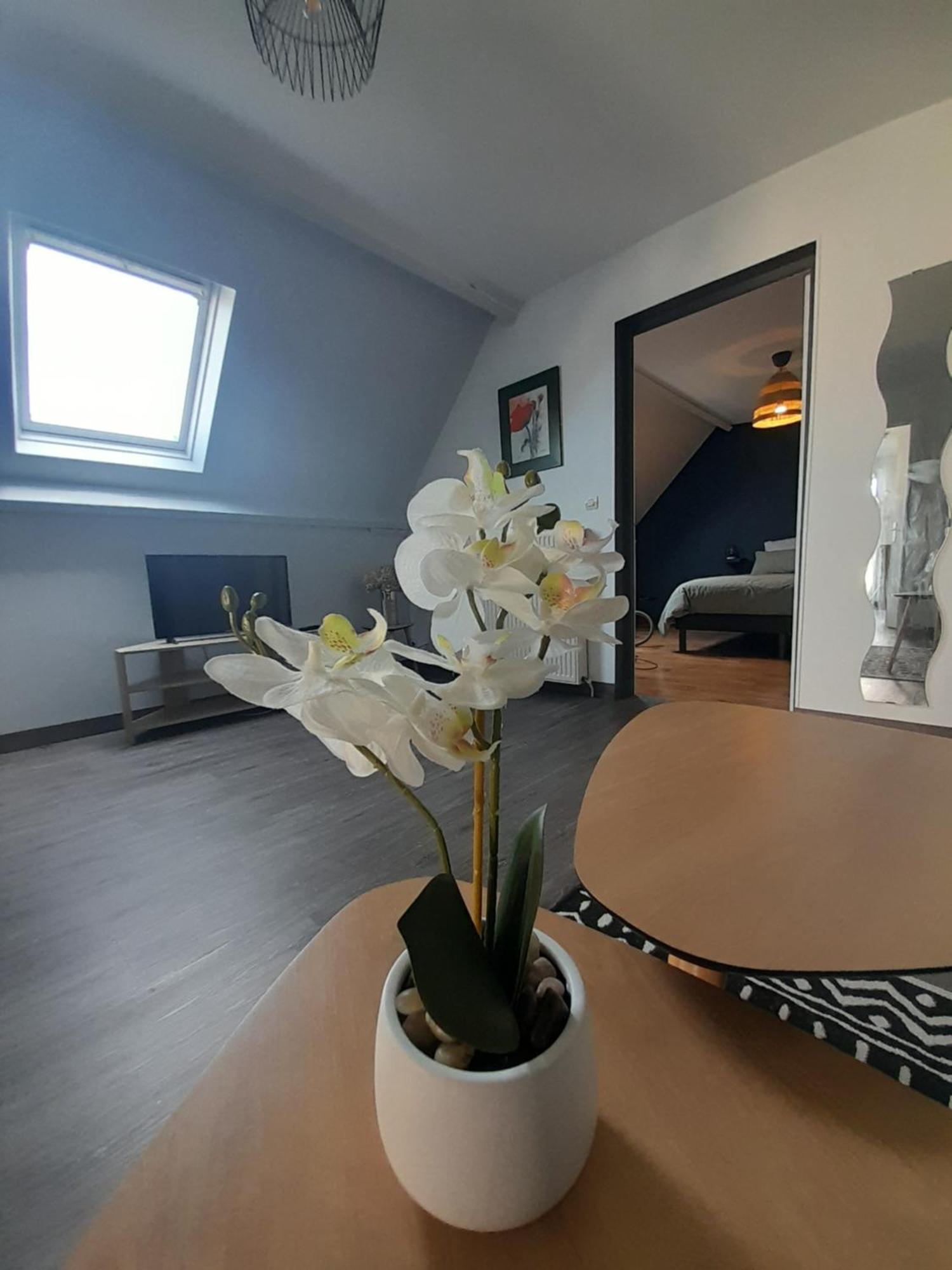 Le Bon Plan Entre Caen Et La Mer ** Draps Et Menage Inclus !** Apartman Giberville Kültér fotó